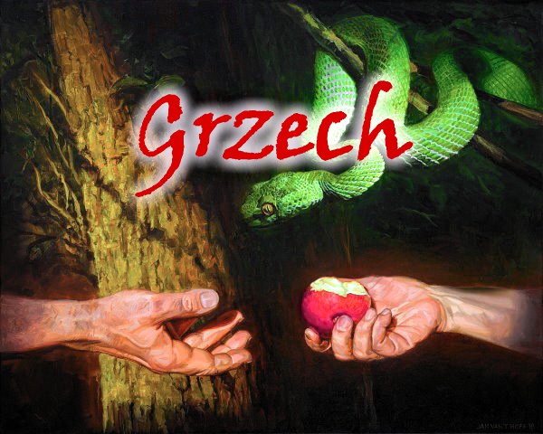 WARTO WIEDZIEĆ... GRZECH I CO DALEJ?