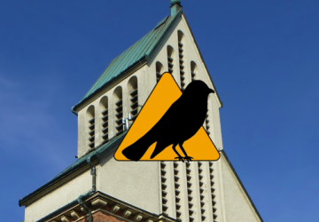 Warto wiedzieć… Poczytaj…  Kto zamieszkuje w naszej kościelnej wieży?
